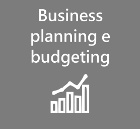 Business planning and budgeting